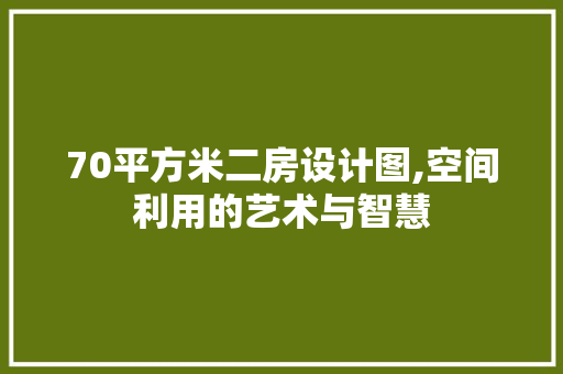 70平方米二房设计图,空间利用的艺术与智慧