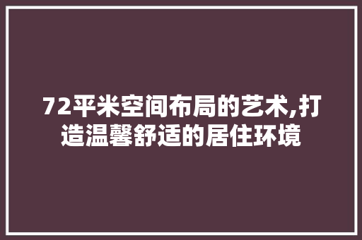 72平米空间布局的艺术,打造温馨舒适的居住环境