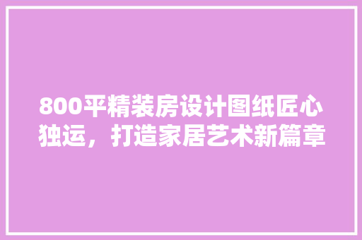 800平精装房设计图纸匠心独运，打造家居艺术新篇章