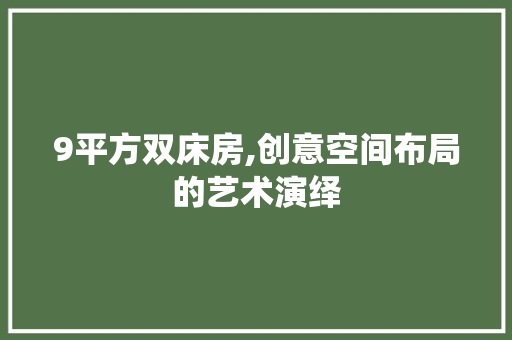 9平方双床房,创意空间布局的艺术演绎