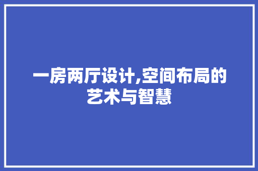 一房两厅设计,空间布局的艺术与智慧