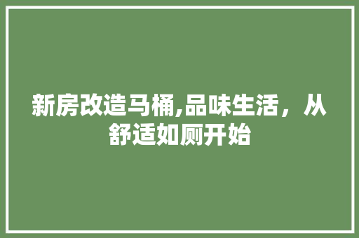 新房改造马桶,品味生活，从舒适如厕开始