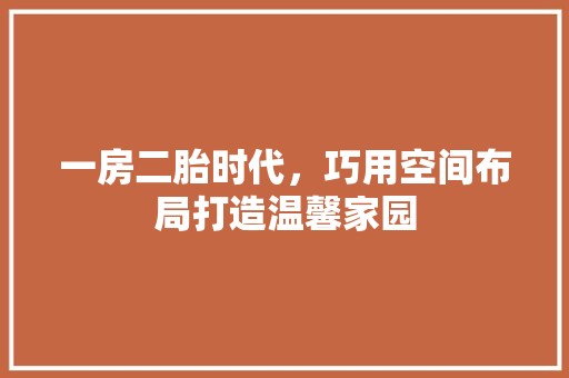 一房二胎时代，巧用空间布局打造温馨家园
