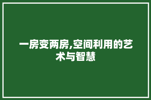 一房变两房,空间利用的艺术与智慧
