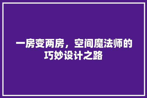 一房变两房，空间魔法师的巧妙设计之路