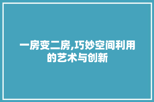 一房变二房,巧妙空间利用的艺术与创新