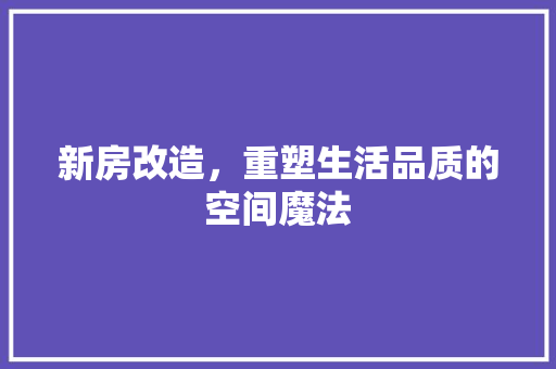 新房改造，重塑生活品质的空间魔法