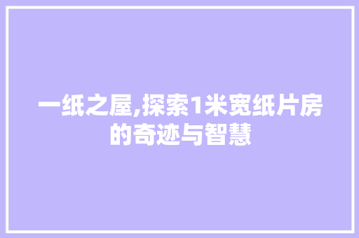 一纸之屋,探索1米宽纸片房的奇迹与智慧