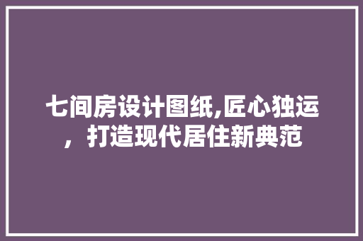 七间房设计图纸,匠心独运，打造现代居住新典范