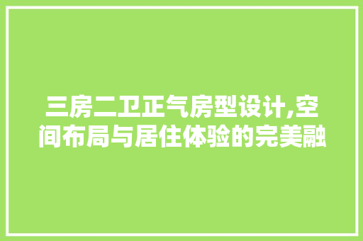 三房二卫正气房型设计,空间布局与居住体验的完美融合