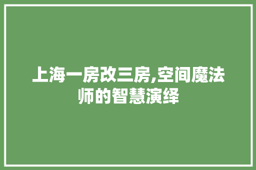 上海一房改三房,空间魔法师的智慧演绎