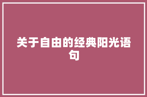 上海厕所房设计例子,诠释空间利用与美学融合的艺术