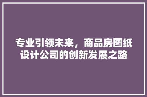 专业引领未来，商品房图纸设计公司的创新发展之路
