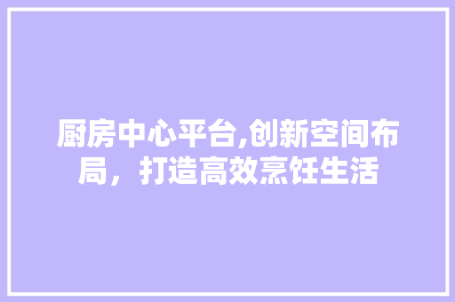 厨房中心平台,创新空间布局，打造高效烹饪生活