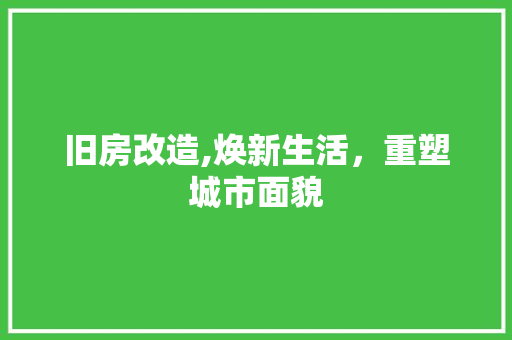 旧房改造,焕新生活，重塑城市面貌
