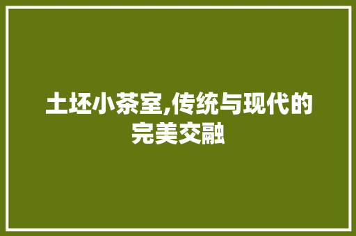 土坯小茶室,传统与现代的完美交融