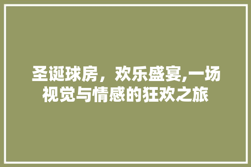 圣诞球房，欢乐盛宴,一场视觉与情感的狂欢之旅