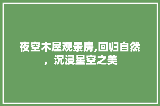 夜空木屋观景房,回归自然，沉浸星空之美