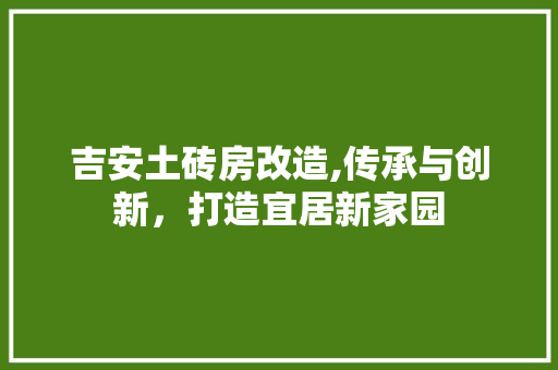 吉安土砖房改造,传承与创新，打造宜居新家园