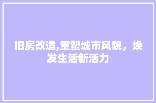 旧房改造,重塑城市风貌，焕发生活新活力