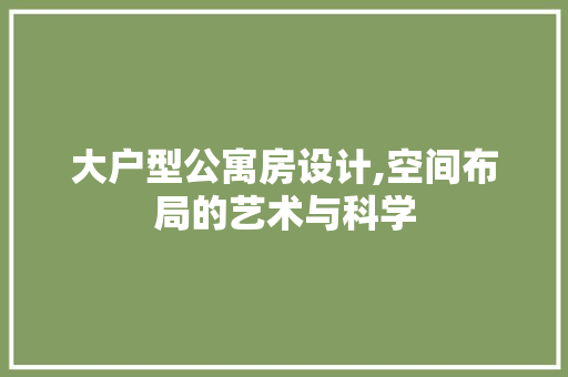 大户型公寓房设计,空间布局的艺术与科学