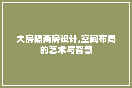 大房隔两房设计,空间布局的艺术与智慧