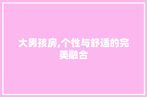 大男孩房,个性与舒适的完美融合