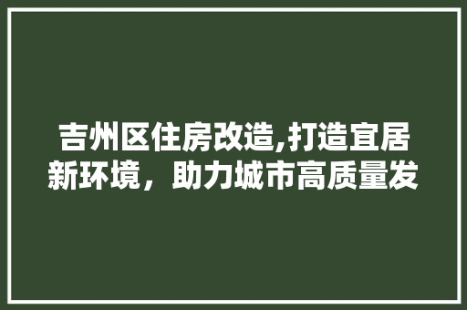 吉州区住房改造,打造宜居新环境，助力城市高质量发展