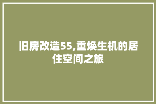 旧房改造55,重焕生机的居住空间之旅