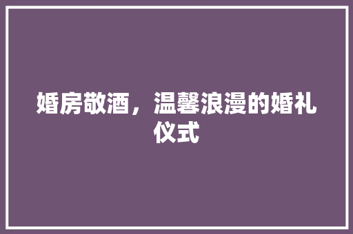 婚房敬酒，温馨浪漫的婚礼仪式