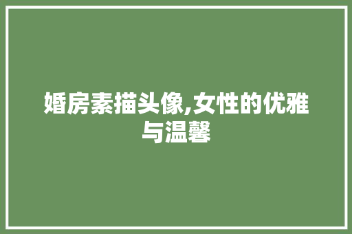 婚房素描头像,女性的优雅与温馨