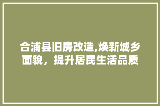 合浦县旧房改造,焕新城乡面貌，提升居民生活品质