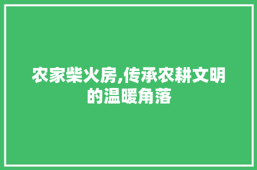 农家柴火房,传承农耕文明的温暖角落