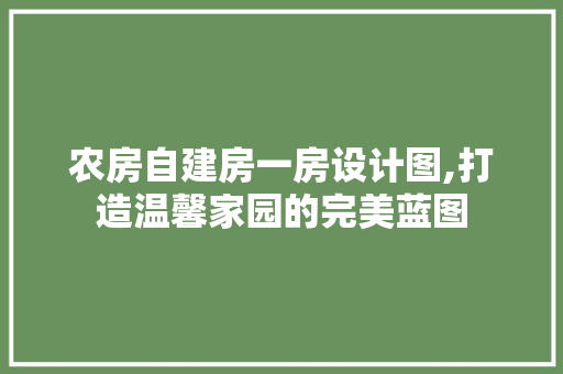 农房自建房一房设计图,打造温馨家园的完美蓝图