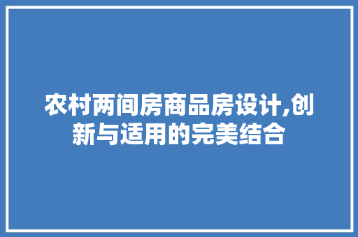 农村两间房商品房设计,创新与适用的完美结合