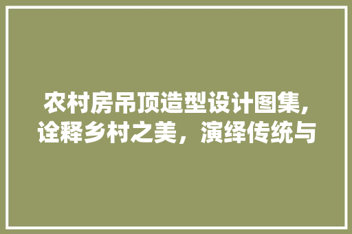 农村房吊顶造型设计图集,诠释乡村之美，演绎传统与创新