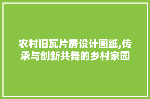 农村旧瓦片房设计图纸,传承与创新共舞的乡村家园