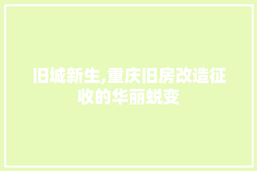 旧城新生,重庆旧房改造征收的华丽蜕变
