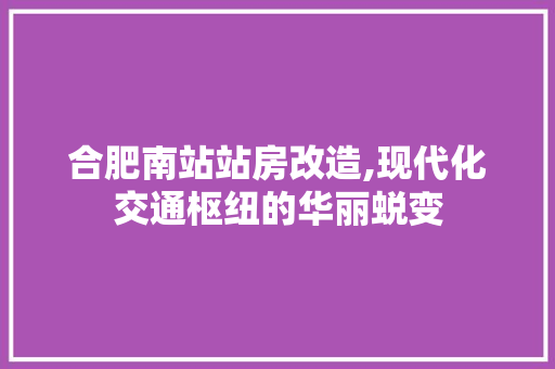 合肥南站站房改造,现代化交通枢纽的华丽蜕变