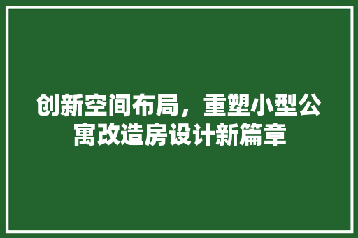 创新空间布局，重塑小型公寓改造房设计新篇章