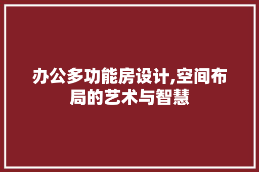 办公多功能房设计,空间布局的艺术与智慧