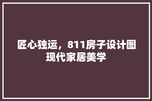 匠心独运，811房子设计图现代家居美学