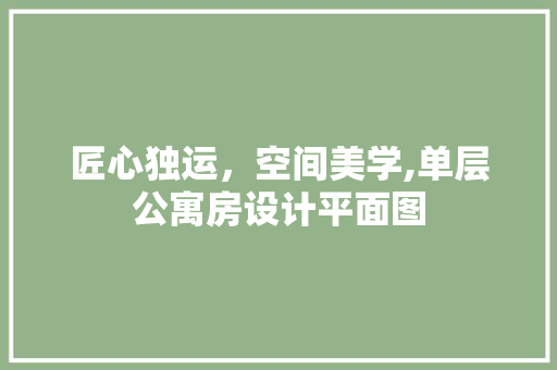 匠心独运，空间美学,单层公寓房设计平面图