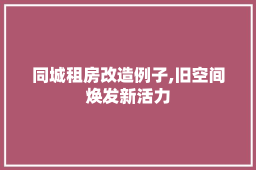 同城租房改造例子,旧空间焕发新活力