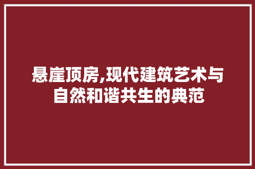 悬崖顶房,现代建筑艺术与自然和谐共生的典范