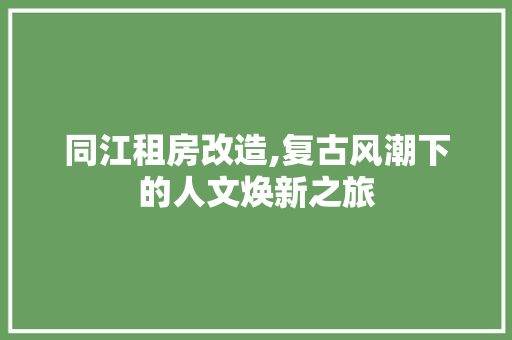 同江租房改造,复古风潮下的人文焕新之旅