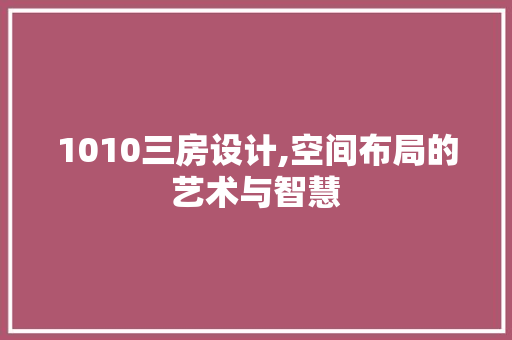 1010三房设计,空间布局的艺术与智慧