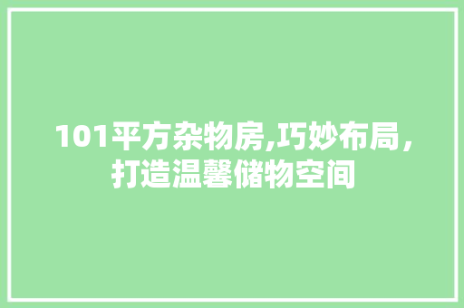 101平方杂物房,巧妙布局，打造温馨储物空间