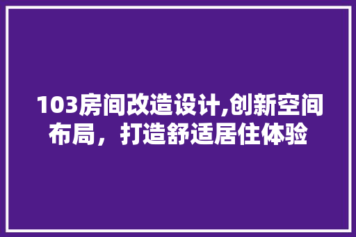 103房间改造设计,创新空间布局，打造舒适居住体验
