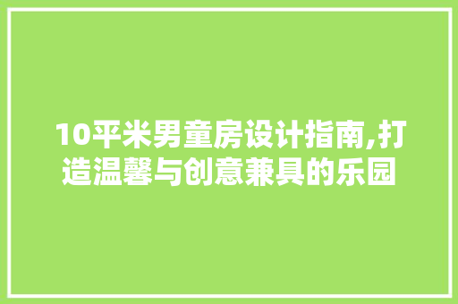 10平米男童房设计指南,打造温馨与创意兼具的乐园